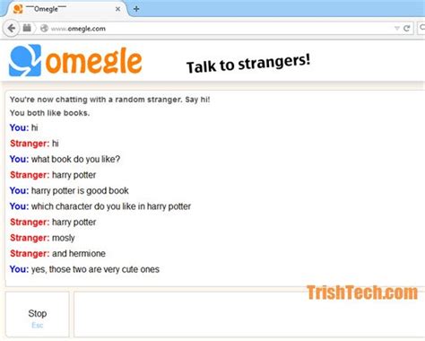 chatserv omegle|Omegle